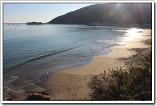 Picture of Dog Beach in Port San Luis