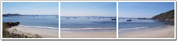 Dog Beach in Port San Luis, CA