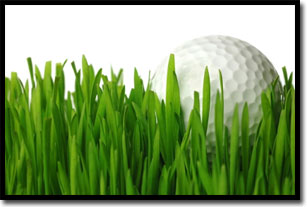 Golf ball in Grass