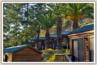 Hot Springs Cabin Rentals