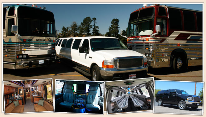 Party Bus & Limo Rentals
