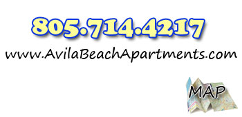 Contact Info