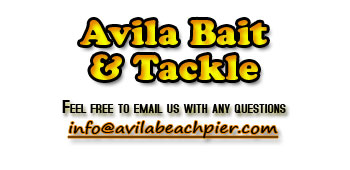 Bait and Tackle