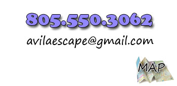 Contact Info
