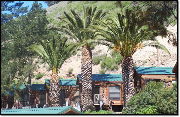 Cabins and other Vacation Rentals
