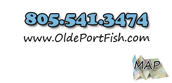 Olde Port Fish contact info