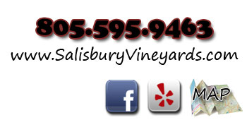 Contact Information