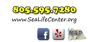 Contact Info