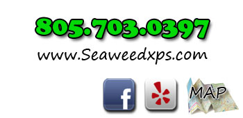 Contact Info