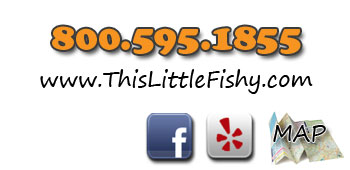 This Little Fishy contact information