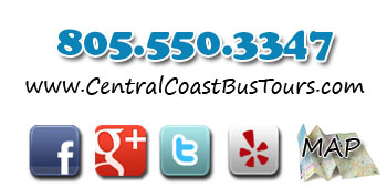 Contact Info
