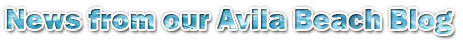News from our Blog