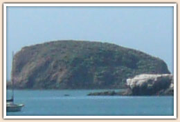 Whalers Island in Port San Luis Harbor