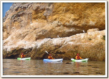 Fossil Point Kayaking Tour