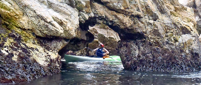 Exploring the Central Coast on kayak