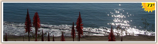 Central Coast Weather